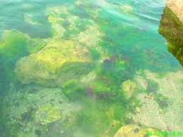 Maybe you would like to learn more about one of these? Intarzieri De 6 Luni Comunitatea Sfatulmedicului Ro