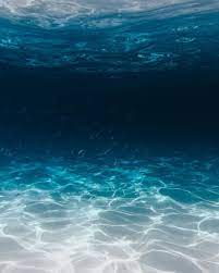 Every image can be downloaded in nearly every resolution to ensure it will work with your device. Sea Full Hd Wallpapers Top Free Sea Full Hd Backgrounds Wallpaperaccess