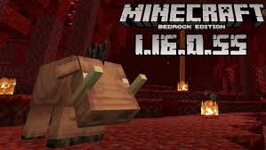 Check spelling or type a new query. Download Minecraft Pocket Edition 1 16 0 55 Nether Update Beta Version