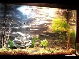 Peceras Decoradas Para El 14 De Febrero Buscar Con Google Peceras Peceras Decoradas Peceras En Casa