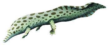 Want to discover art related to archegosaurus? Archegosaurus Nix Illustration