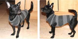 Chi l'ha detto che i cani non soffrono il freddo? Cappottino Per Cani Fai Da Te Da Un Vecchio Maglione Greenme