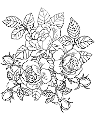 Scopri ricette, idee per la casa, consigli di stile e altre idee da provare. Roses Flowers Coloring Page Online Coloring Pages