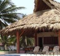 Palapa Roof - Photos & Ideas | Houzz