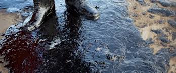 The keystone pipeline leaked for a fourth time in ten years on october 31, 2019. Keystone Pipeline Leaks 5 000 Barrels Into Farmland Oilprice Com