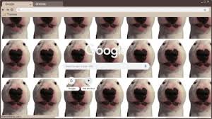 Are the emmas dog people irl? 1366x768 Chrome Themes Themebeta