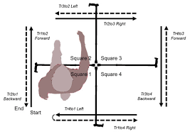 Image result for Four-Stage Balance Test