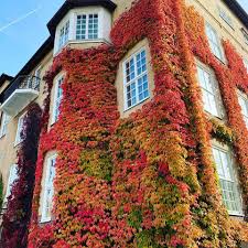 A university in southern sweden, a campus concentrated in one location. Facebook