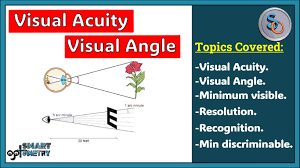 Image result for Visual Acuity