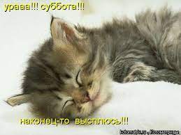 1ВГ1ЛЮС ВЙШЕШДРдВаИИёЩрк: / котоматрица / смешные картинки и другие  приколы: комиксы, гиф анимация, видео, лучший интеллектуальный юмор.