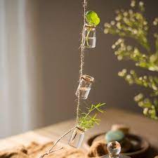 august grove frazee rustic rope glass hanging planter wayfair ca in 2021 planters bottle