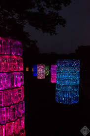 Bruce Munro Lights Cheekwood Botanical Garden Museum Of Art Art Museum Lights Museum