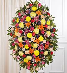 Maybe you would like to learn more about one of these? Multicolor Bright Sympathy Standing Spray 1800flowers Com 148721