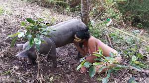 Puta Fodendo Com Porco E Cachorro Na Floresta - Zoofilia