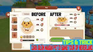 Tempat Beli Dan Kasih Makan Pet Di Tour Of Neverland Indonesia Android Youtube