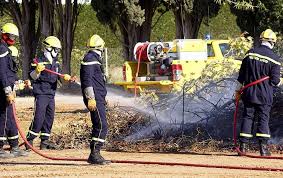 Lorsque nous etions encore enfants sur le chemin de bruyere tout le long de la riviere on cueillait la mirabelle sous le nez des tourterelles. Herault L Importance Des Forestiers Sapeurs Tout Au Long De L Annee Metropolitain