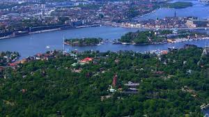 He started his career as a striker for swedish clubs but changed to a centre midfielder holmalunds if and örgryte, before making the move to dutch club feyenoord at the age of 18, where he continued to be used as a midfielder. Stockholm Sweden S Royal Game Park Djurgarden Watchmojo Com