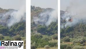 Νερά γάργαρα ξεκινούν ψηλά από το βουνό και στη διαδρομή τους κάνουν παιχνίδια που για εμάς είναι θαύματα της φύσης. Fwtia Twra Sto Pikermi City View