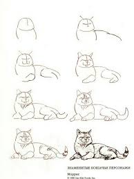 Pin By Shania Perin On Narisovannye Zhivotnye Cat Drawing Tutorial Animal Drawings Cat Drawing