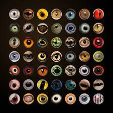 That was the end of the vision. 32 Facts About Animal Eyes Discovery Eye Foundation