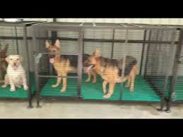 We did not find results for: Dog Kennel Flooring Plastic Floor For Dog Or Kennel Manufacturer From Coimbatore