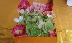 We did not find results for: 10 Alamat Toko Bunga Plastik Di Surabaya 2021 Grosir Import