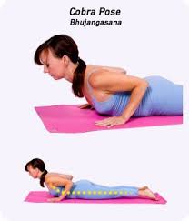 Backbending Yoga Poses For Beginners Cobra Pose Easy Yoga Workouts Cool Yoga Poses