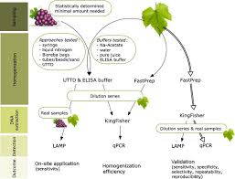 26 | created by stephcat26 | last updated: Overview Of The Generally Used And The Newly Developed Process For Fdp Download Scientific Diagram