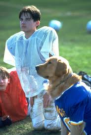 More images for kevin zegers air bud 2 » Air Bud Golden Receiver 1998 Imdb