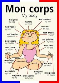 Epingle Par Beckshaw Barkery Sur French 101 Apprentissage De L Anglais Apprendre L Anglais Apprentissage De L Allemand
