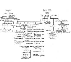 king davids family tree