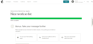 Create your own email list and segment the subscribers. How To Use Mailchimp In 2021 Beginner S Guide