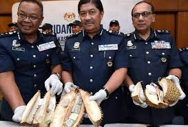 Laluan kelana jaya (bahasa inggeris: Kastam Kelana Jaya Sst