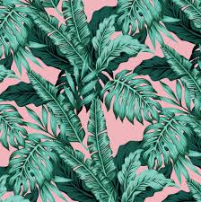 What kind of wallpaper do you use for palm trees? Leaves Wallpapers And Hd Backgrounds Free Download On Picgaga
