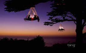 Bing Wallpaper For Computer Click Bing Desktop Wallpaper To View Full Sized Bing Desktop Wallpaper Tree Camping Tree Tent Camping Experience