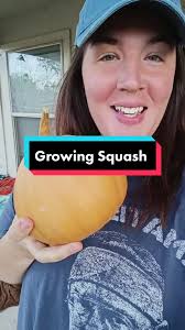 Growing Seminole Pumpkin: Tips for Successful Planting and Harvesting