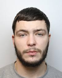 Thief who drove stolen vehicle wrong way down M4 is jailed