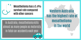 Check spelling or type a new query. Mesothelioma Institute For Respiratory Health