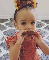 Gators BOW Made Using Licensed Fabric for Pet's Collar/harness, Girl's  Headband/hair Clip/hair Tie, Men's Bow Tie With Football Charm