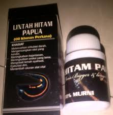 Hasil gambar untuk minyak lintah papua asli