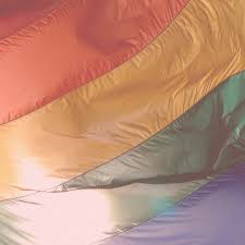 Ter gelegenheid van idahot wordt de regenboogvlag gehesen in alle regenbooggemeenten, op alle ministeries en nederlandse ambassades over de hele wereld. Idahot Cavaria