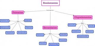 Un cuadro sinóptico es una representación gráfica de ideas para una mejor comprensión de temas y memorización de conceptos. Cuadro Sinoptico Caracteristicas Concepto Y Tipos