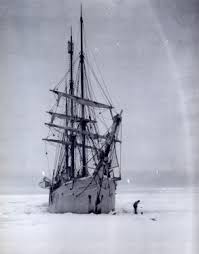 (this etymology is missing or incomplete. Belgica Adrien De Gerlache Belgian Antarctic Expedition 1897 1899