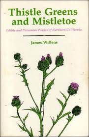 Pin On Foraging Wild Edible Plants Other