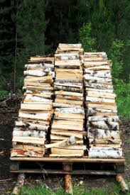 The 5 Best Choices For Firewood In Ontario