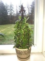 Our metal supports are a great replacement for bamboo canes and won't rot or snap, giving you a sturdy, reliable support to your plants. Garden Plant Support Tunnels Metal Takefuns 6pack Plant Cover Support Tall Garden Fabric If You Re On The Market For Plant Supports Knowing Which One To Choose Can Be A Bit