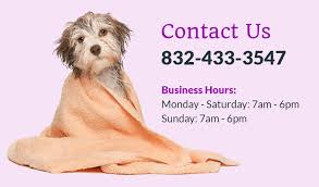 Maybe you would like to learn more about one of these? Sparkling Pets Mobile Pet Spa Dog Grooming