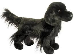 This breed needs to be with his family to be happy. Douglas Jett Flat Coated Retriever Hund Pluschtier Stofftier 16 Schwarz Hundchen Ebay