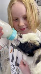 What happened with Baby Thunder? Please watch it. Thank you so much.