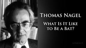 The paper presents several difficulties posed by consciousness. Thomas Nagel What Is It Like To Be A Bat Philosophy Audiobook Youtube